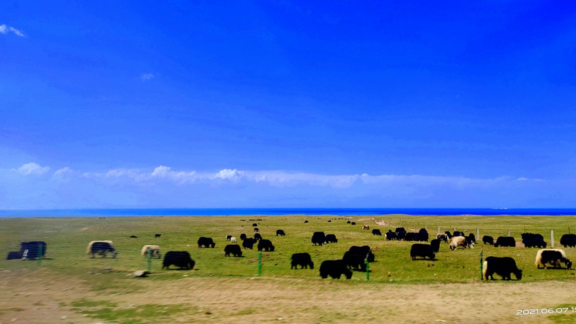 大西北札记,大西北之旅青海湖8月