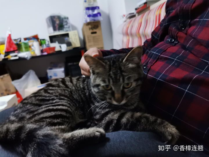 在大连的感受和生活,在大连生活怎么样