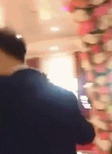 这只鹦鹉一直以为他是一只猴，所以每天都在重复做这个动作