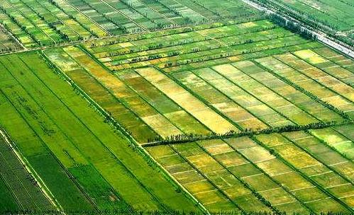 军用作战地图收藏价值,收藏备用军事地形学