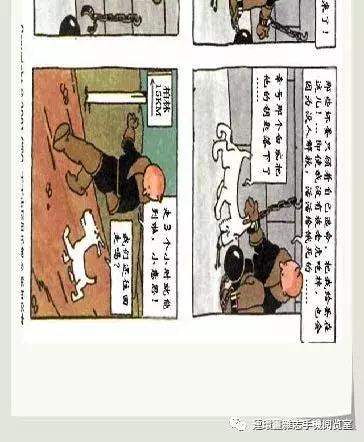 丁丁和丁丁历险记论文,丁丁历险记丁丁的服装