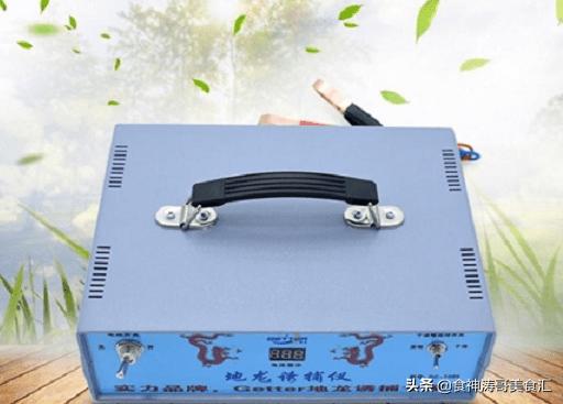 美国蚯蚓市场,美国活体蚯蚓