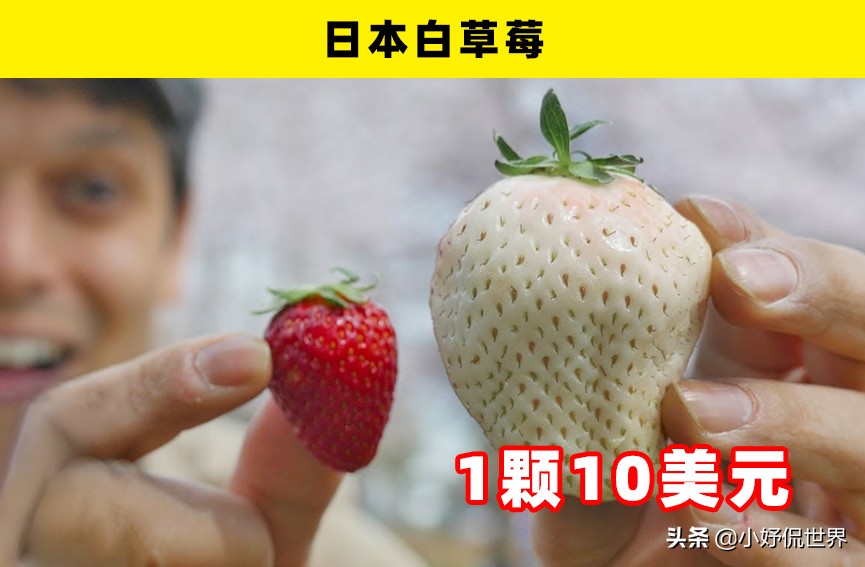 通常只有土豪才买得起的9种昂贵的水果