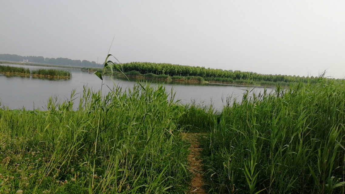 钓鱼没有技巧全靠资源,钓鱼没口怎么办让我来教你吧