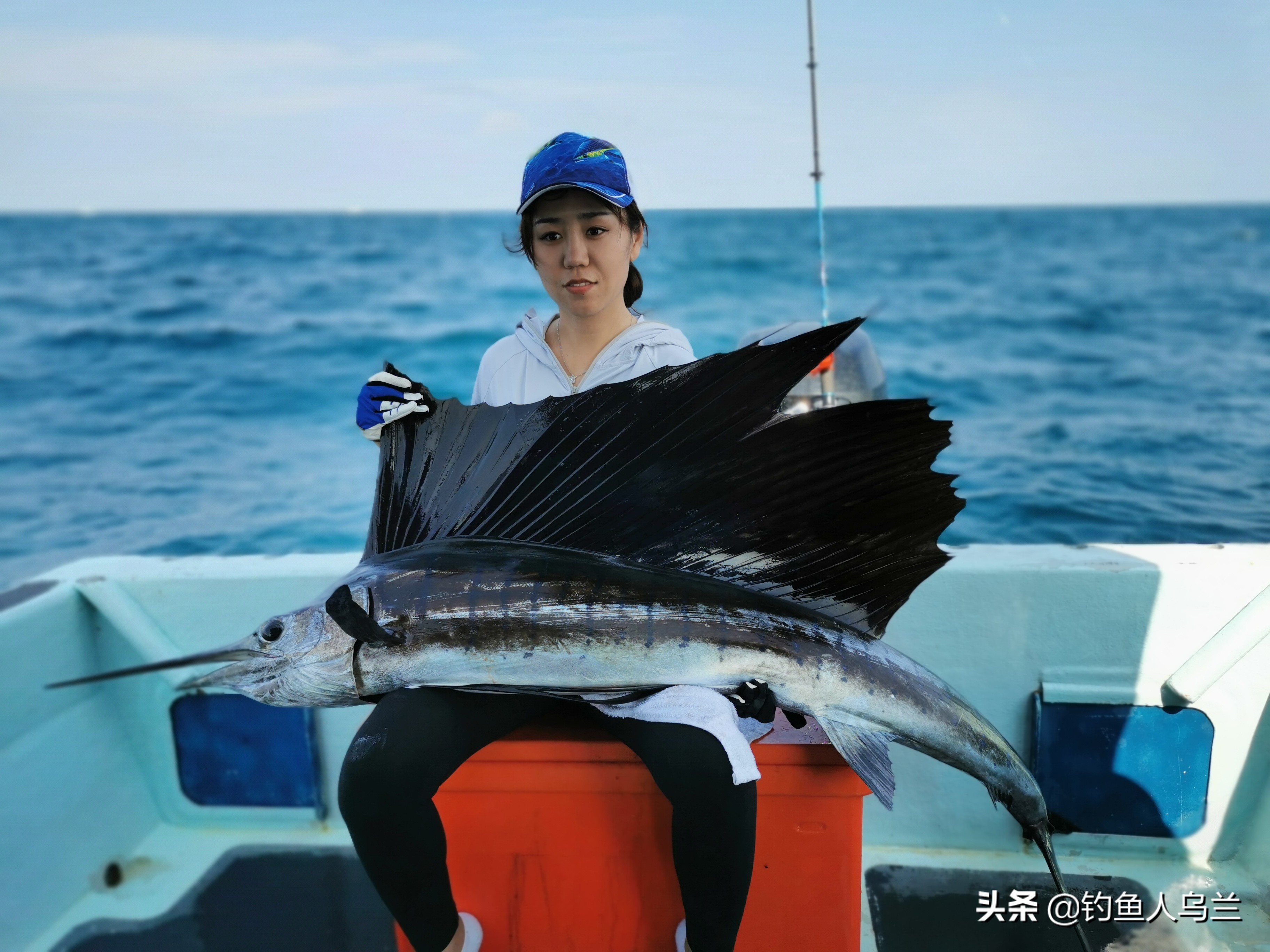 云冰海钓,海钓钓起旗鱼