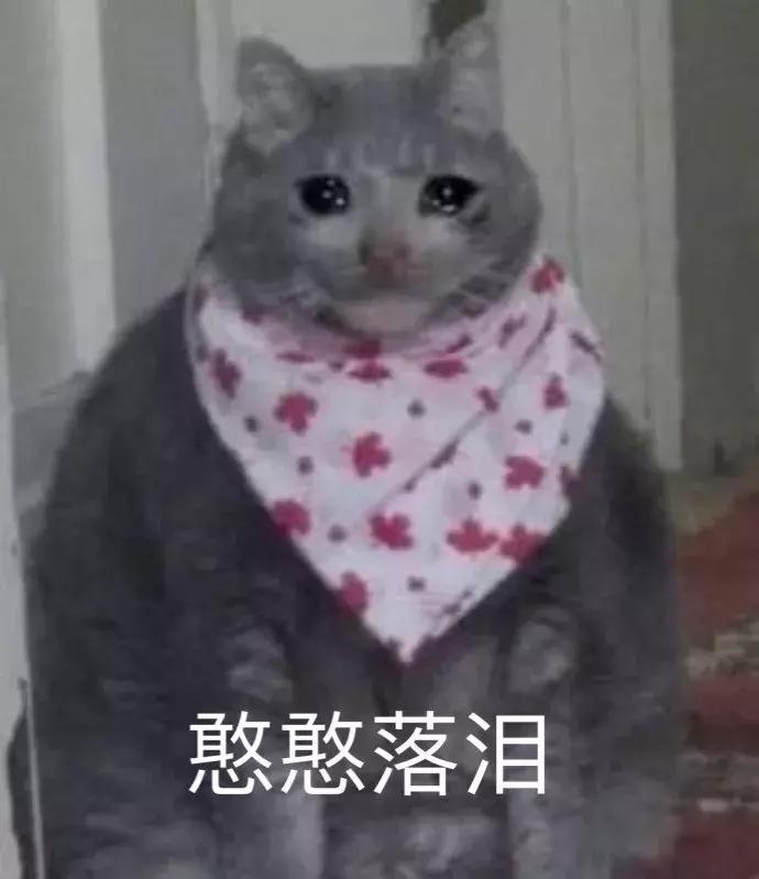 太平鸟登时装周,太平鸟中国国际时装周