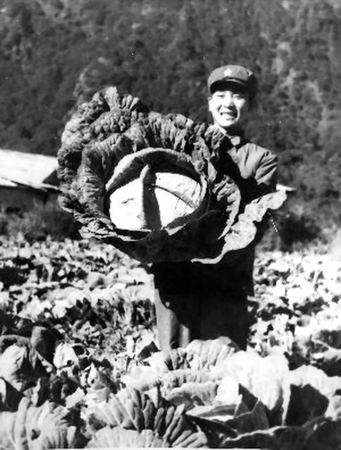 解放军一类灶伙食标准是什么样子,一类灶的伙食标准