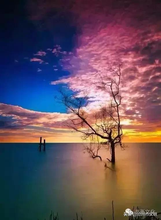 今生不渡此身更待何时渡原话,今生不借此生渡