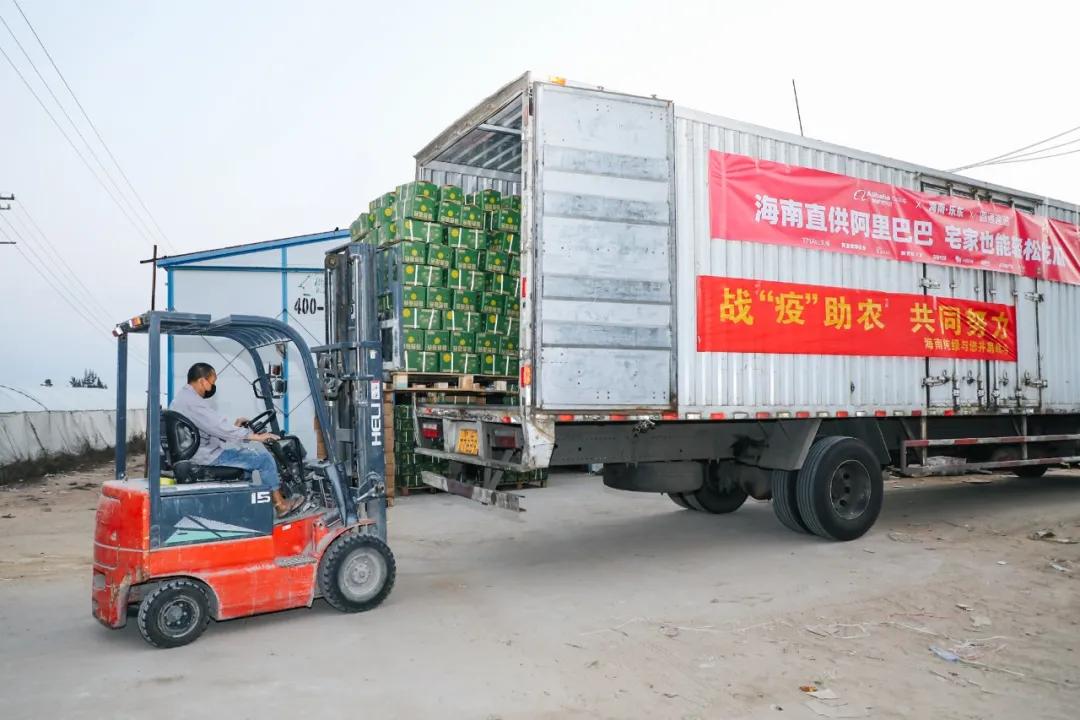 几天吃光6万吨滞销农产品,淘宝吃货:很抱歉以这样的方式出名