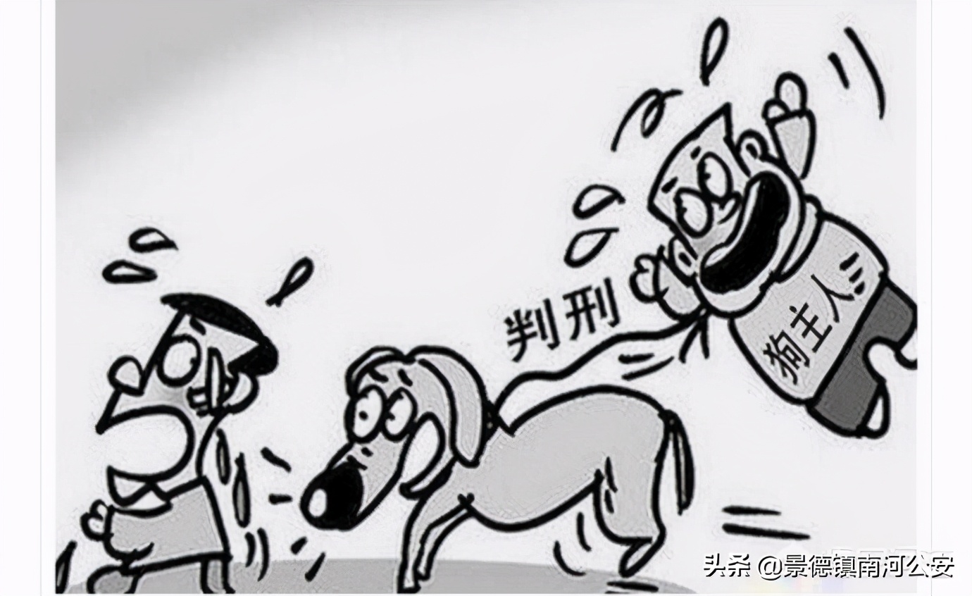 小偷入室盗窃被打死屋主有责任吗,入室抢劫被狗咬死狗主人有责任吗