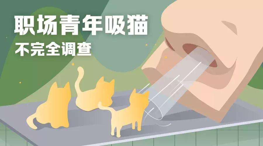 老板比猫还难搞定?最新职场青年吸猫不完全调查出炉