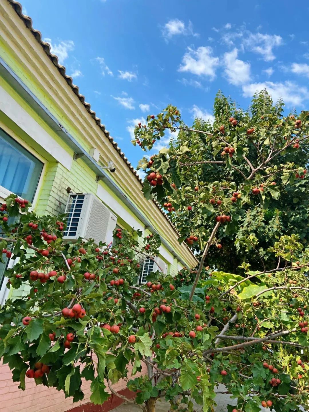 北京所有小学排名一览表,北京30所小学排名一览表