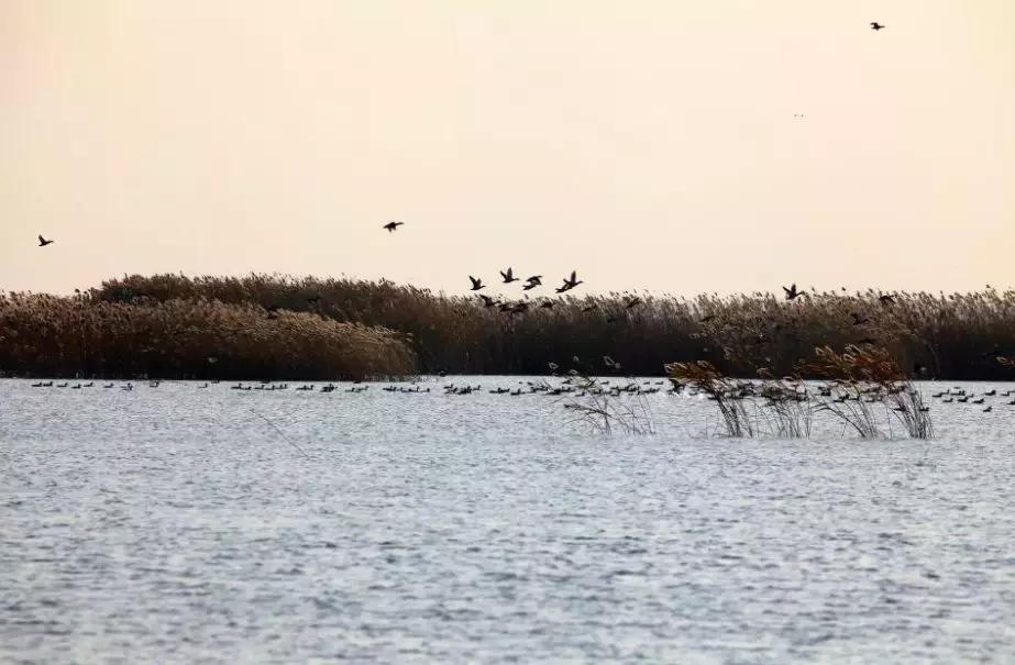 守护绿水青山成为行动自觉,守护绿水青山狠抓生态文明建设