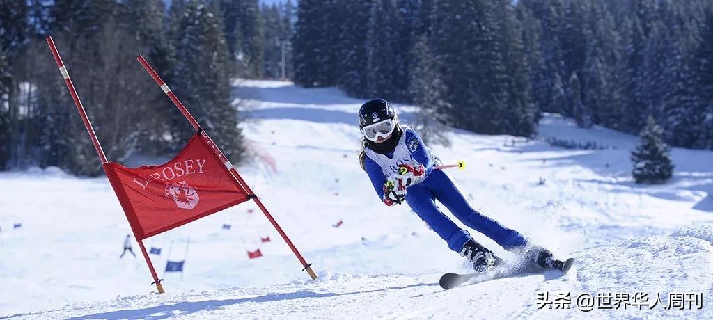 赵文卓女儿的学校,赵文卓女儿400万学费