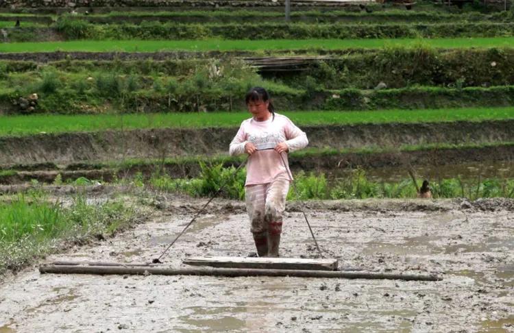 鐣呮父榛勬睙,榛勬睙鐣呮父涓浗