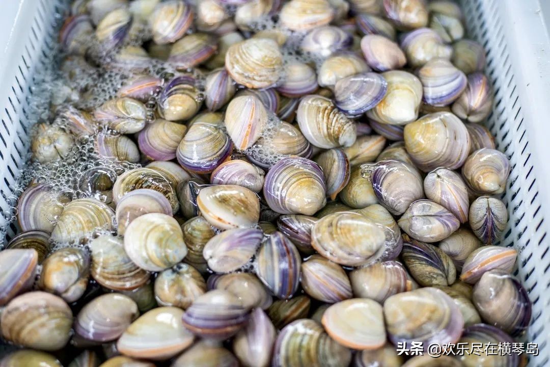 东澳岛攻略,东澳岛旅游攻略