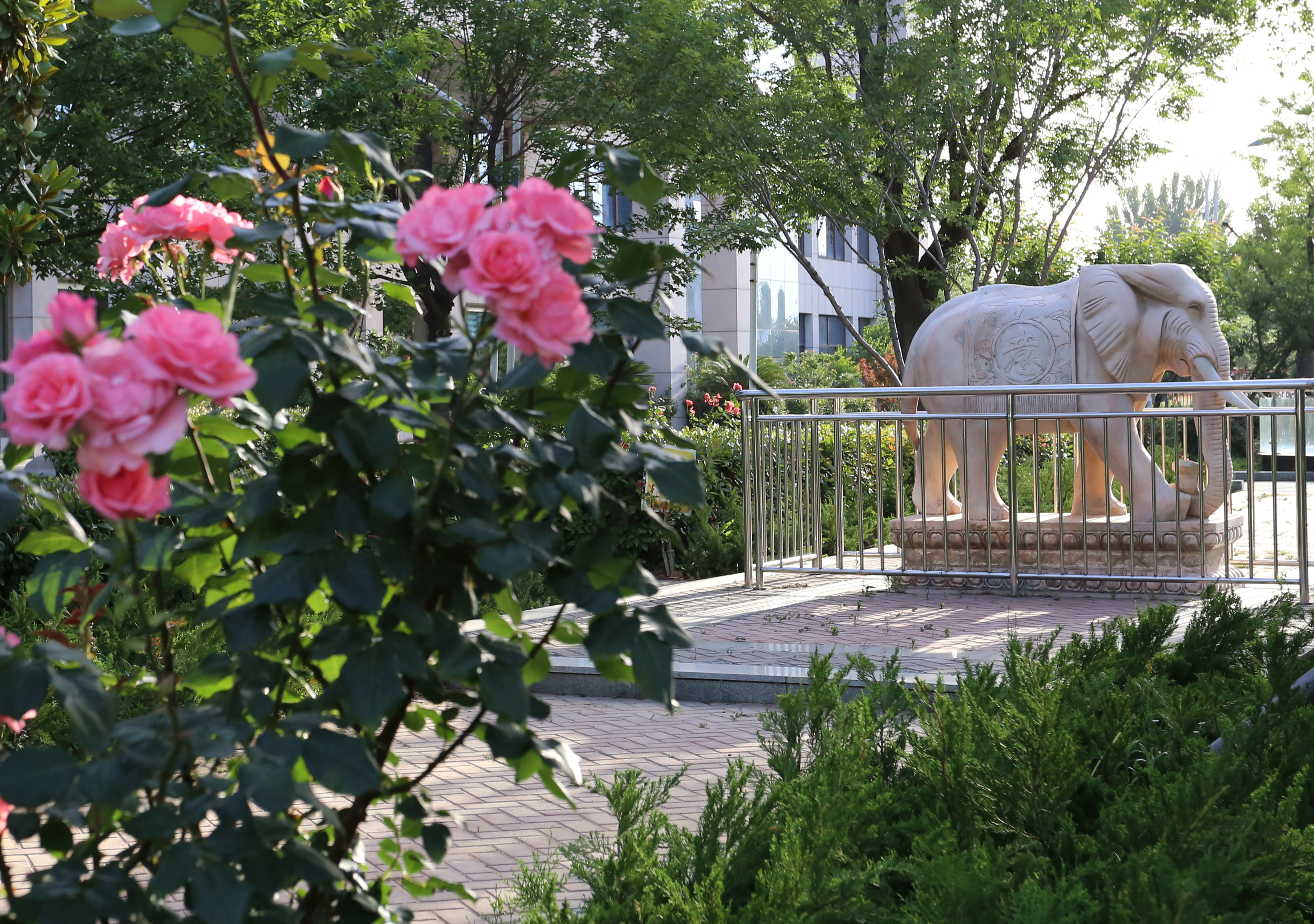 瀛熷鍗虫櫙,瀛熷鍗虫櫙鍙よ瘲涓冨緥