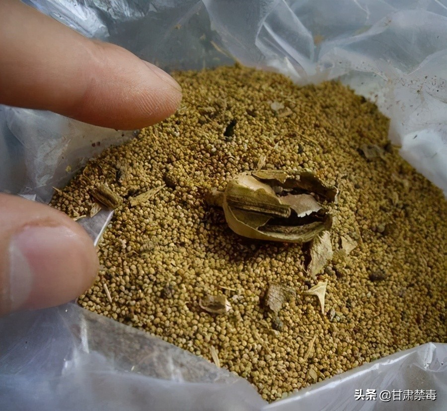 重磅推荐 | 曾文远：*品毒**管制的理念与制度