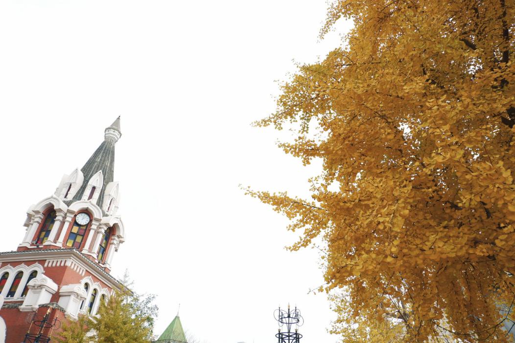 去大连海边玩一趟要多少钱,去海滨城玩有什么攻略