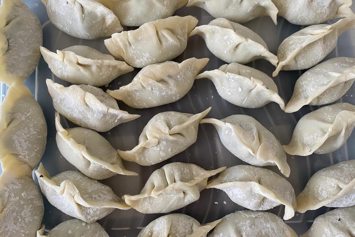 茴香鲜肉饺子鲜美极了,茴香猪肉饺子的正宗做法