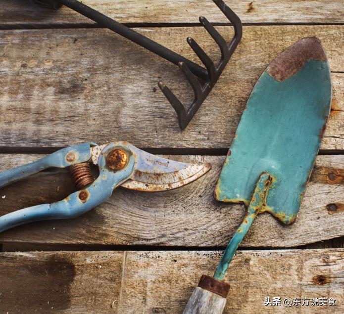 有哪些食物适合加番茄酱,番茄酱的减肥吃法大全