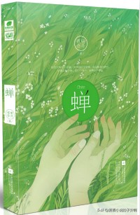 比较冷门的优秀小说推荐,推荐几部自己看过的冷门小说