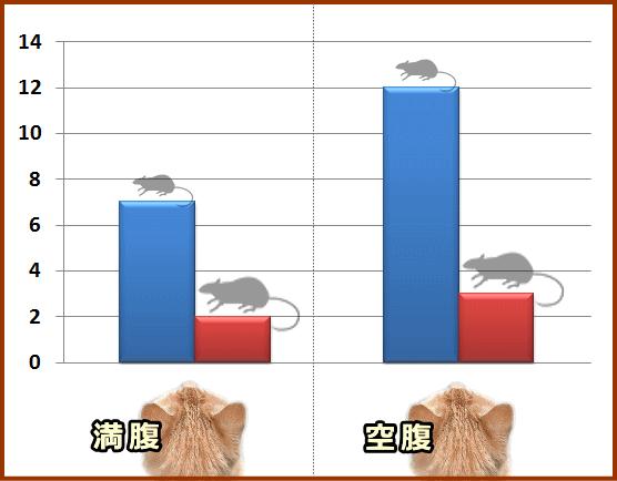 怎么培养猫咪玩游戏,猫咪如何玩儿游戏