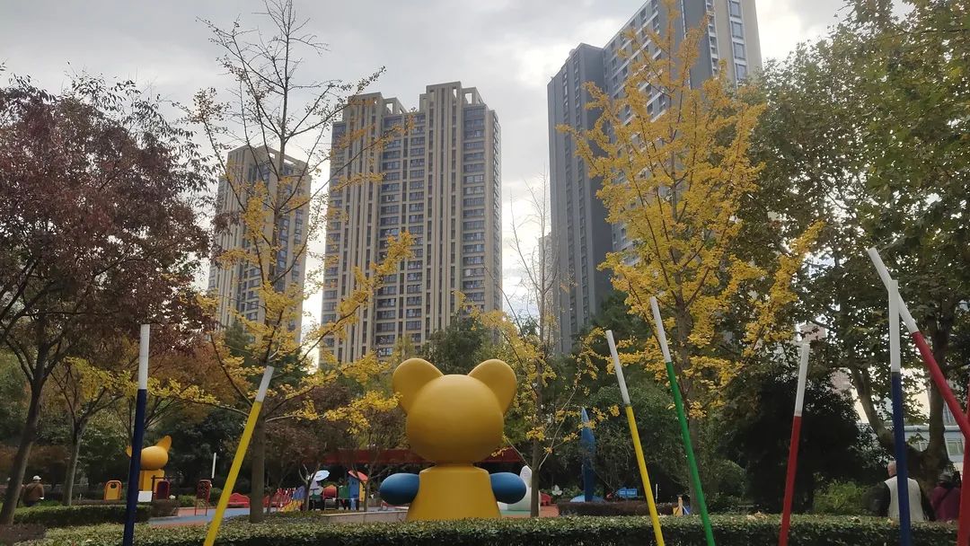 上海最美秋景,上海哪些公园可以拍秋景