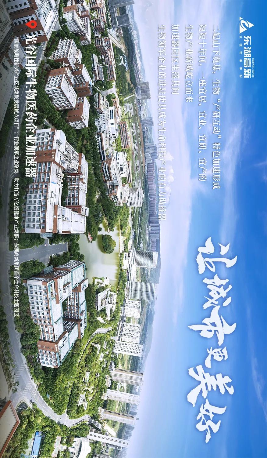 东湖高新集团的发展历程,图鉴图鉴