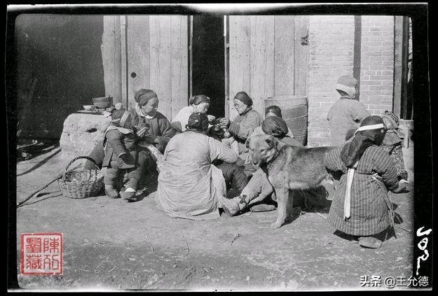 柴犬神犬,中华神犬