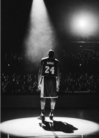 黑曼巴传奇回顾,历史上真实的曼巴