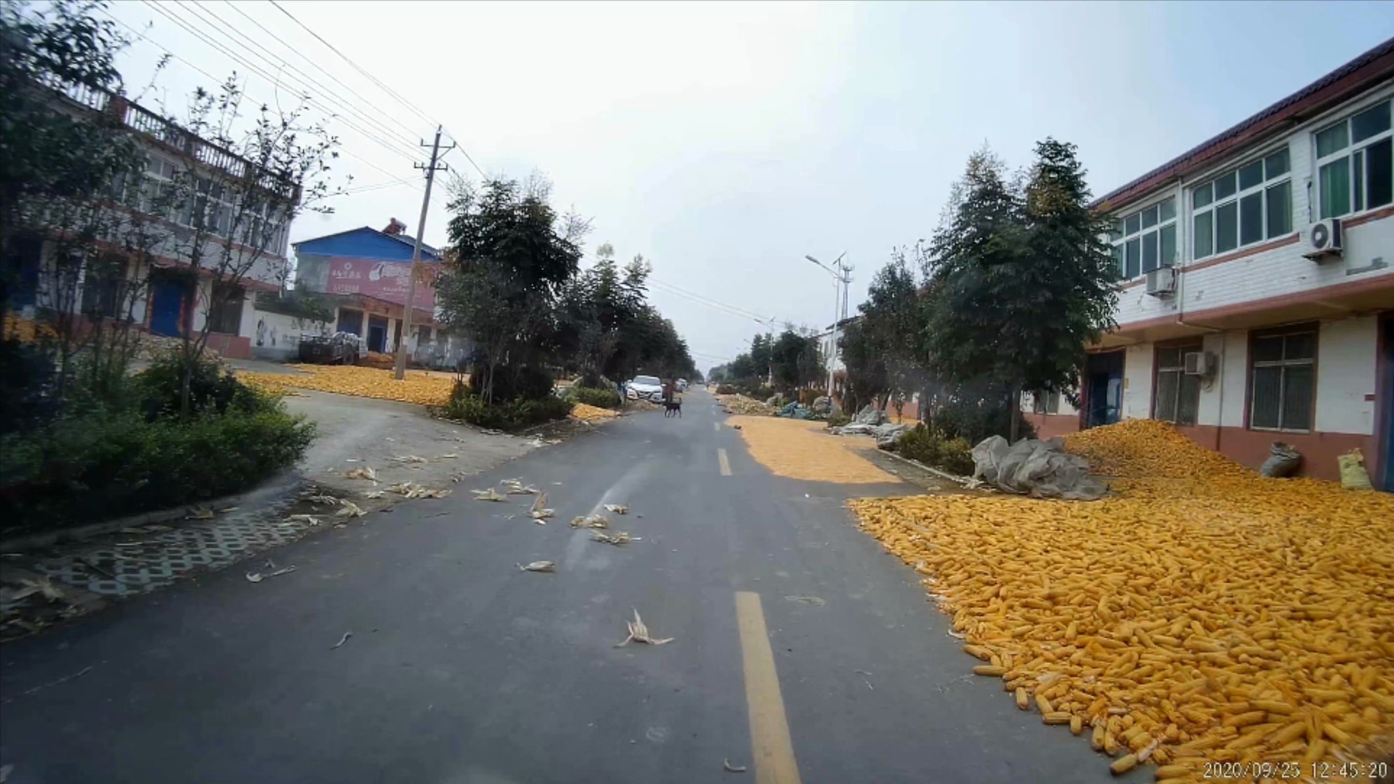 俞伯牙墓为什么在固镇,俞伯牙墓出土