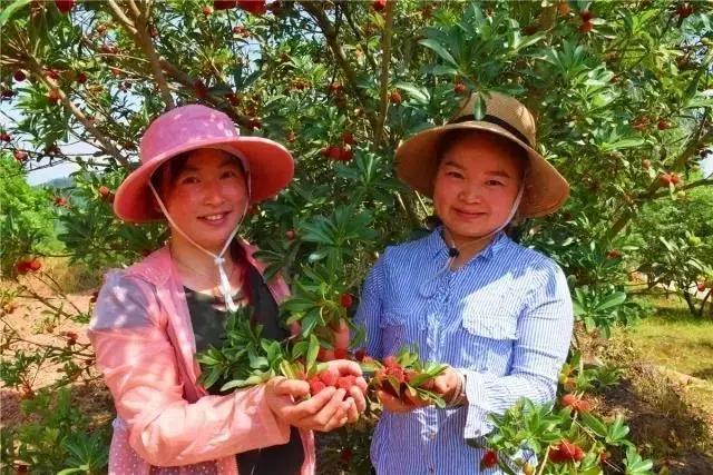 巴中南江要火了！入选国家生态示范县