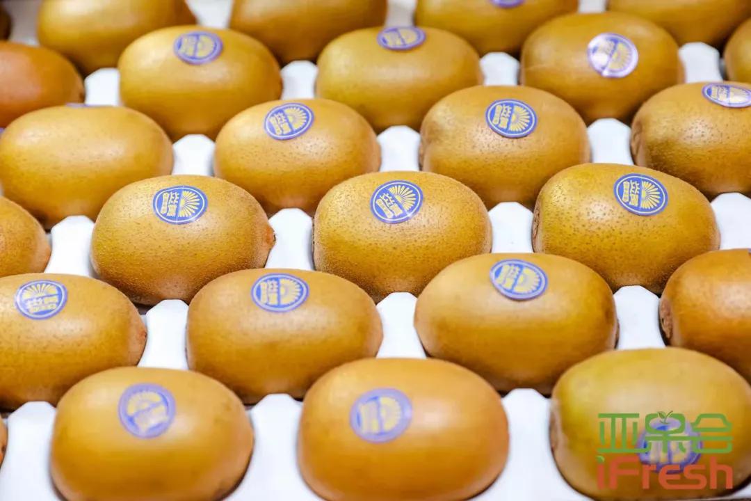 ifresh果蔬展,ifresh上海果蔬博览会