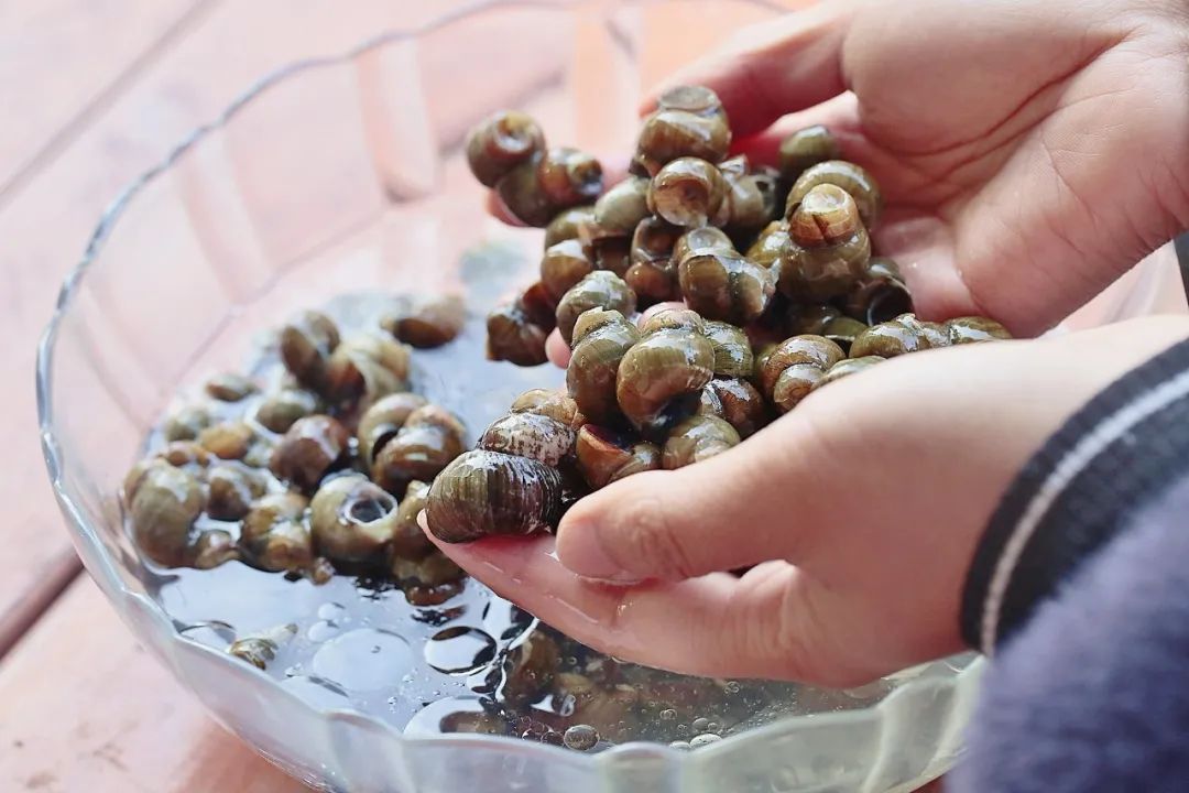 螺蛳洗出来很多小白粒,大螺蛳怎么吐沙干净