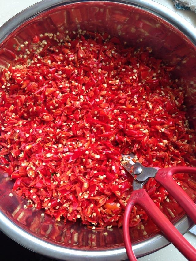 花盆里特小的红蜘蛛怎么消灭,花上的红蜘蛛怎么处理