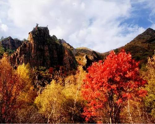 张家口冬天自然景观,张家口地区壮美山河优美风景介绍