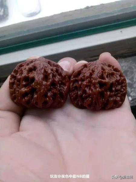 金刚菩提上完橄榄油以后怎么办,金刚菩提下完水发白了