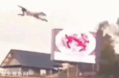 平安春运交通违章曝光,交警严查超速行驶行为