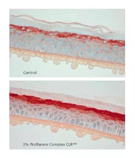 澳洲药房抗衰护肤品,澳洲大药房特效药