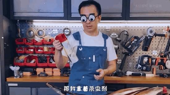 如何灭绝室内蟑螂虫卵,消除老房子蟑螂的方法