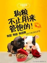 MBA｜匡威、温德姆、猫途鹰、江小白、IBM参与式营销？你呢？