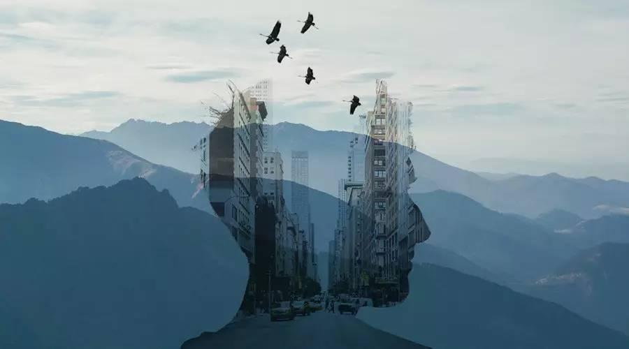 大脸小百科|拉康与意识流