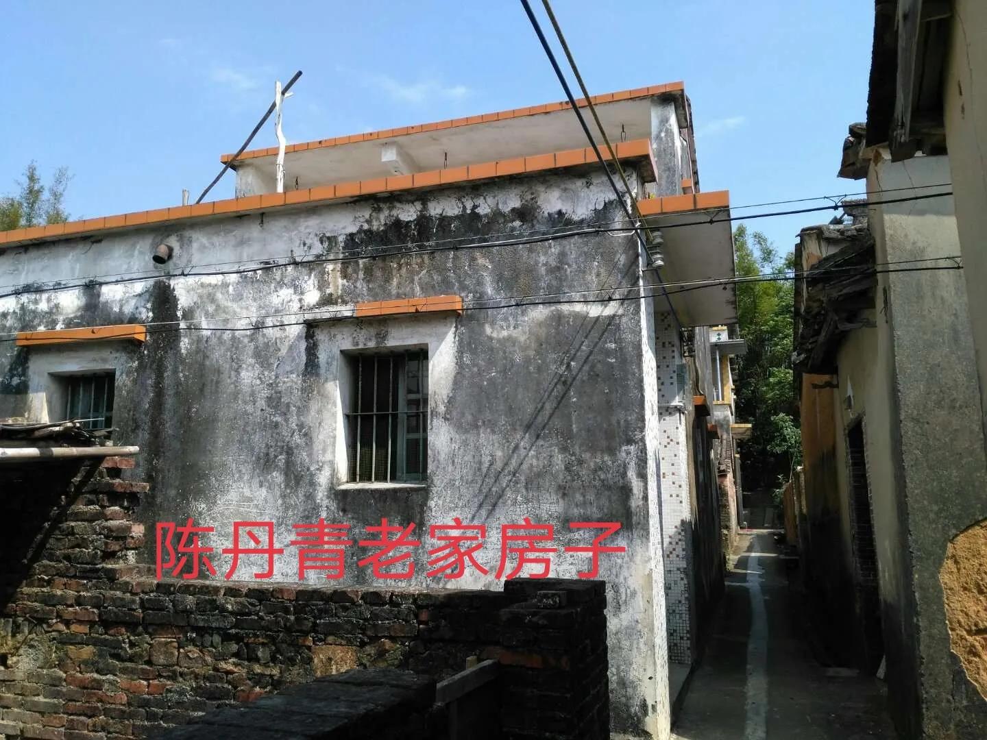 陈丹青原是台山人