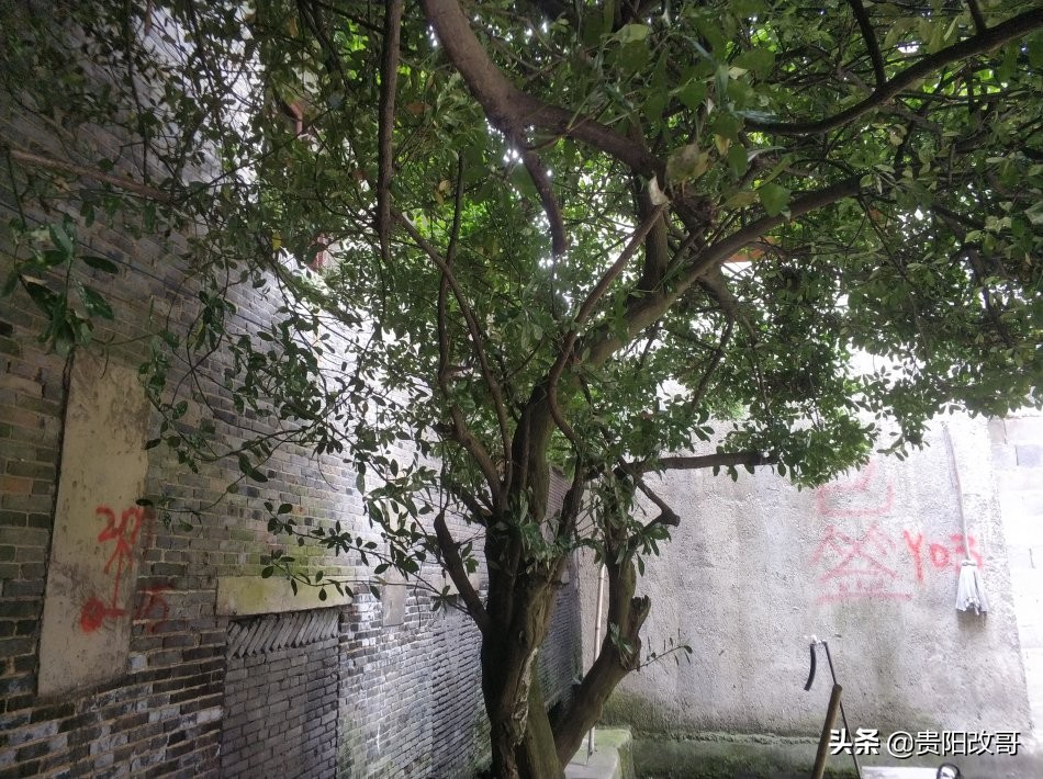 贵阳北衙村*迁拆**，红色史迹高公馆能否留存？