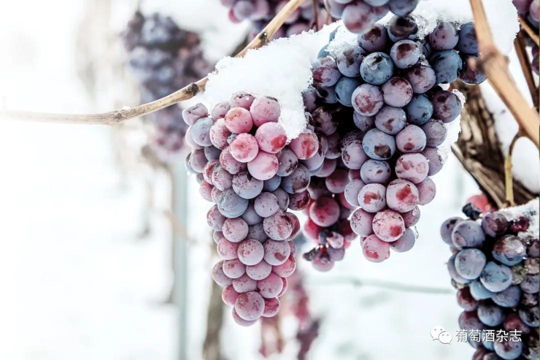 btob供应链商城,btob电商企业