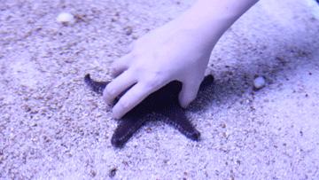 绚丽珊瑚海300+种海底生物，火爆盆友圈的网红打卡圣地就在中山路