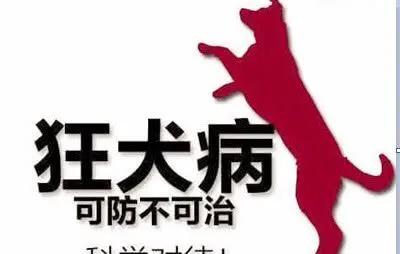 被什么动物咬了要打狂犬疫苗,没有被动物咬打狂犬疫苗有影响吗