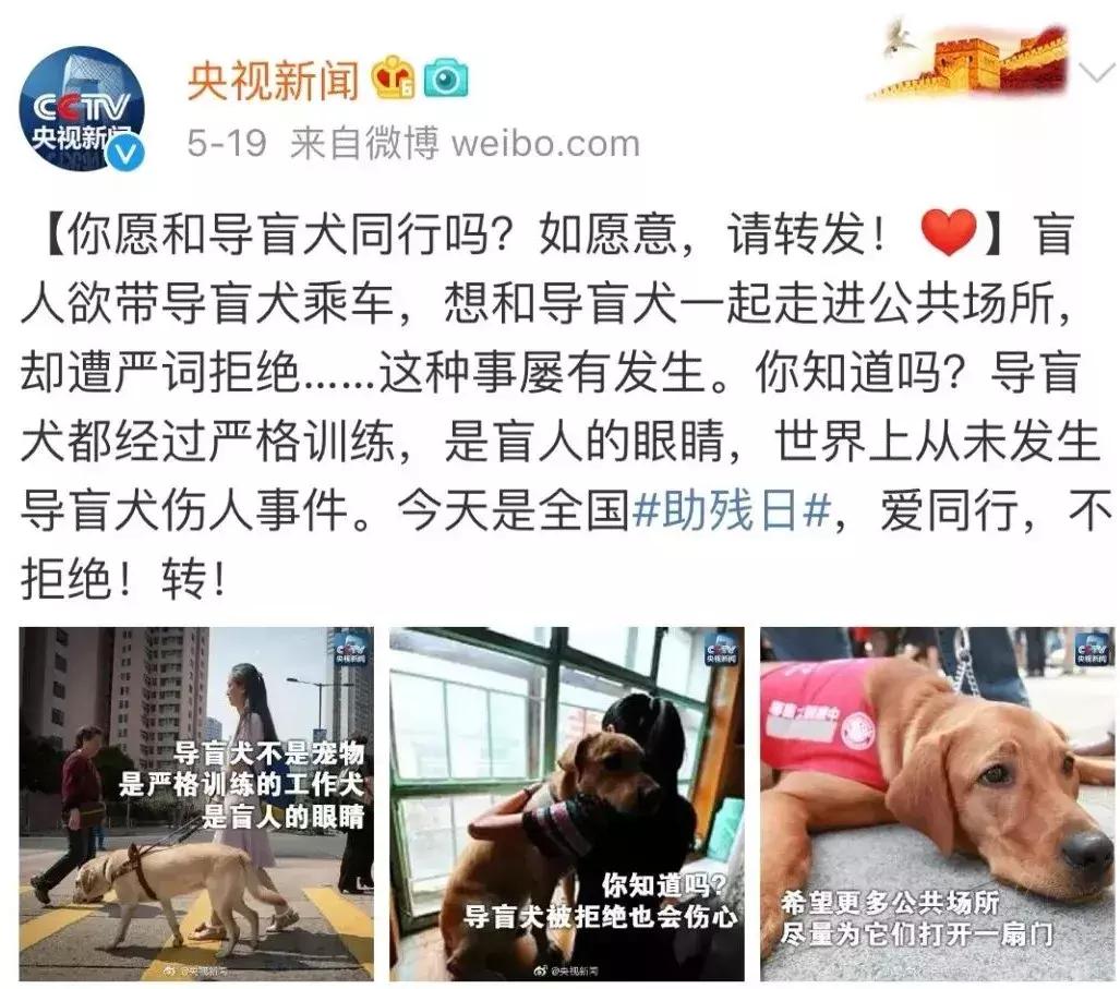 为什么导盲犬会受歧视,导盲犬被歧视合集
