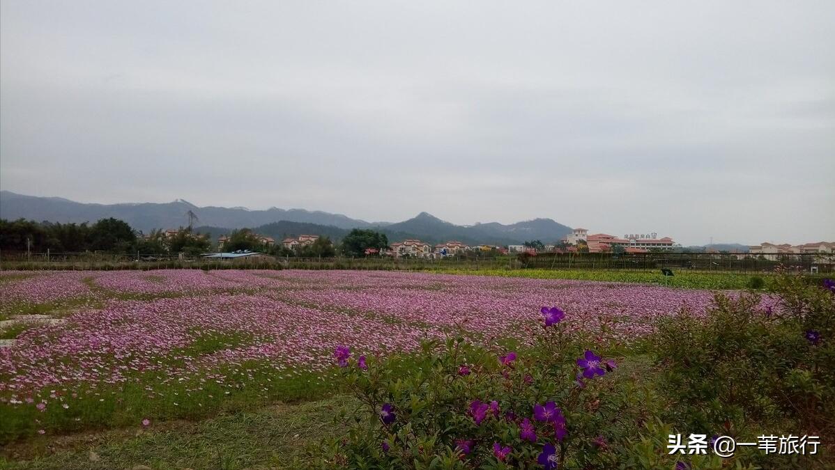 广东省五邑,五邑侨乡为什么是中国第一侨乡